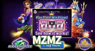 Licença Curaçao MZMZ