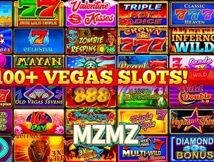 MZMZ Instalar Logo 3