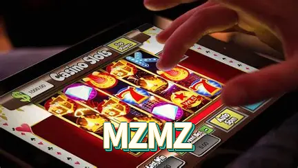 MZMZ Seguro SSL